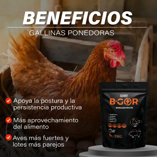 Beneficios para ponedoras